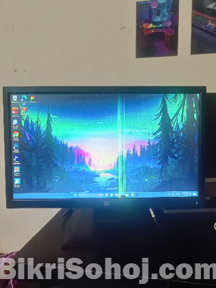 HP p204v LCD Monitor